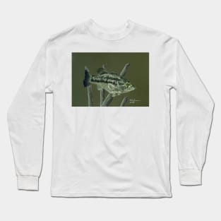 Largemouth Bass Long Sleeve T-Shirt